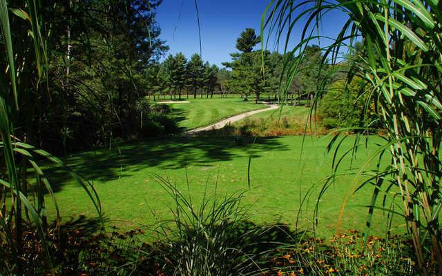 Windermere Golf & Country Club