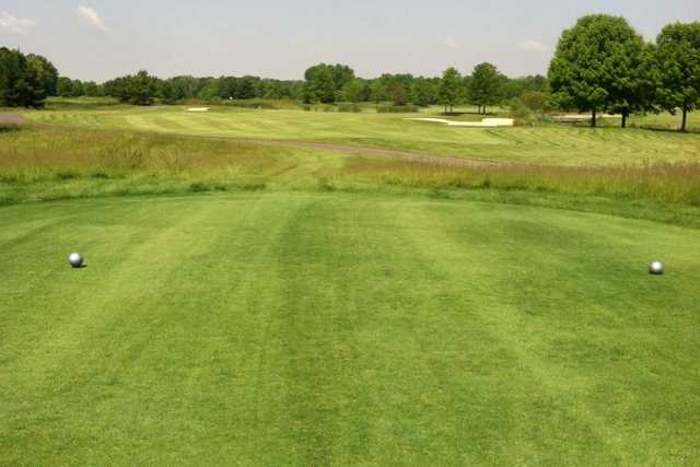 Royal American Links - photo 3
