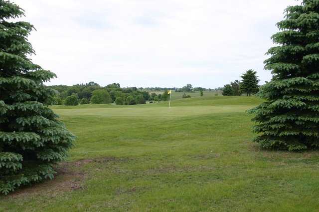 Island Pine Country Club - photo 3