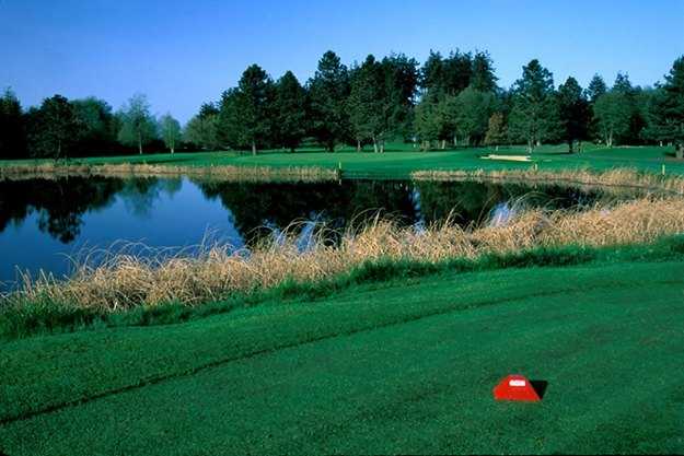Useless Bay Golf & Country Club - photo 3