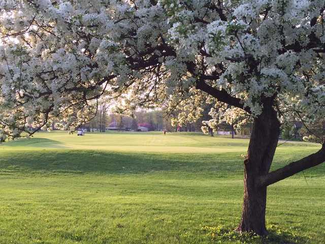 South Toledo Golf Club - photo 4