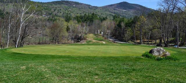 Eagle Mountain Resort Golf Course - photo 3