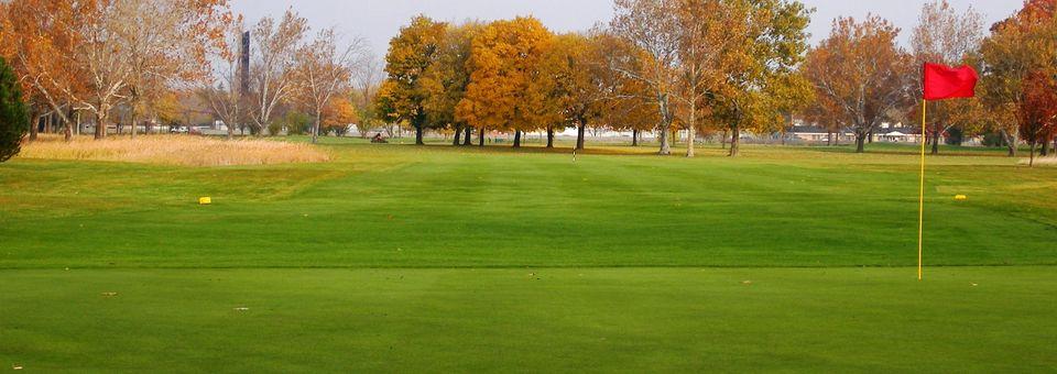 Chandler Park Golf Course - photo 6
