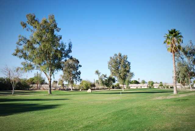 Cocopah Rio Colorado Golf Course - photo 2