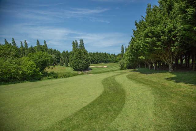 Bulbury Woods Golf Club - photo 3