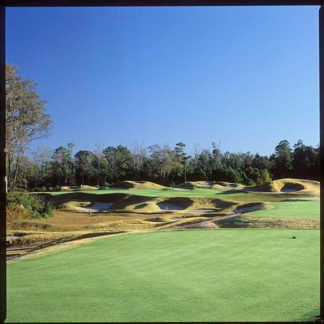 Barefoot Resort - Dye - photo 2