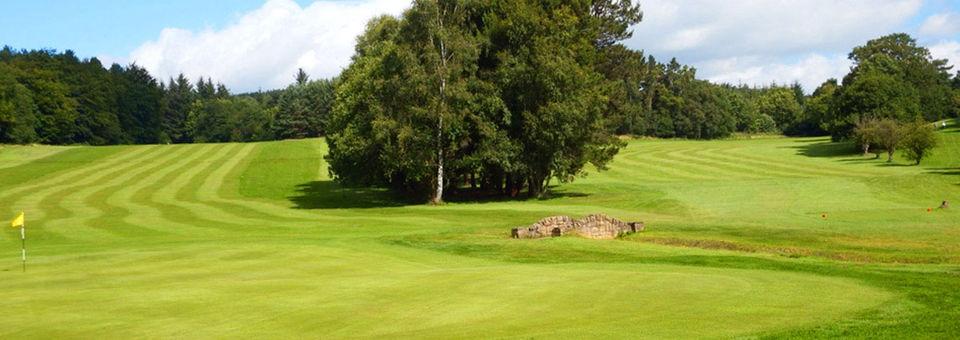 Garesfield Golf Club - photo 5