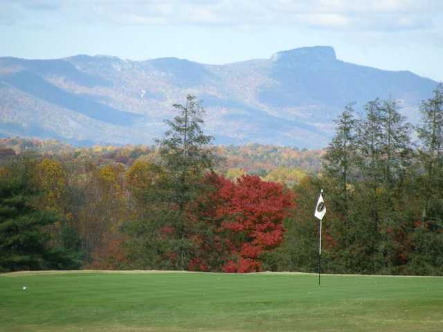 Mimosa Hills Golf Club - photo 3