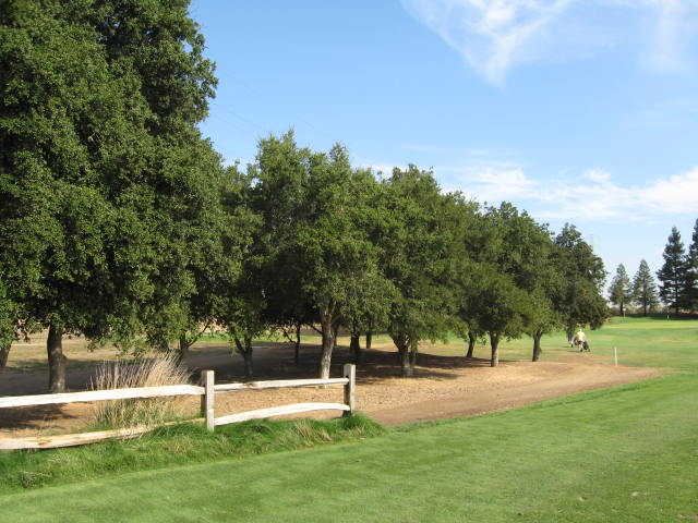 Emerald Lakes Golf Course - photo 3