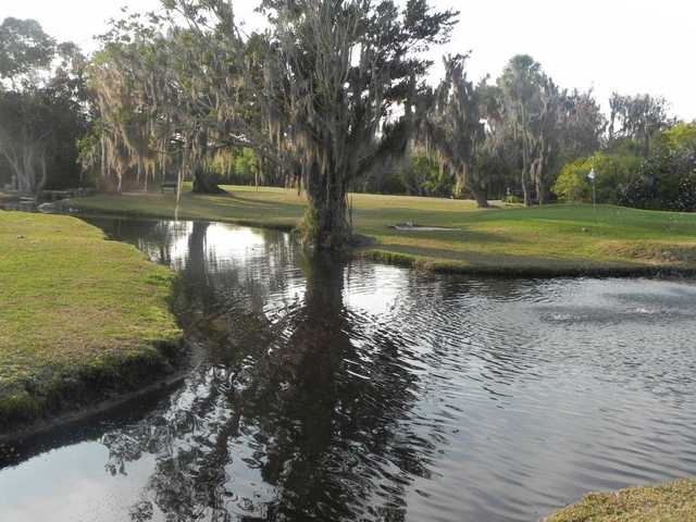 Timber Creek Golf Course - photo 2
