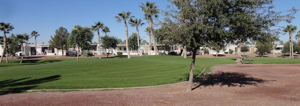 Palm Creek Resort and Residences - photo 3