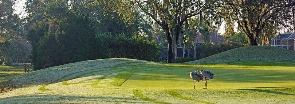 The River Club Golf Course - photo 4