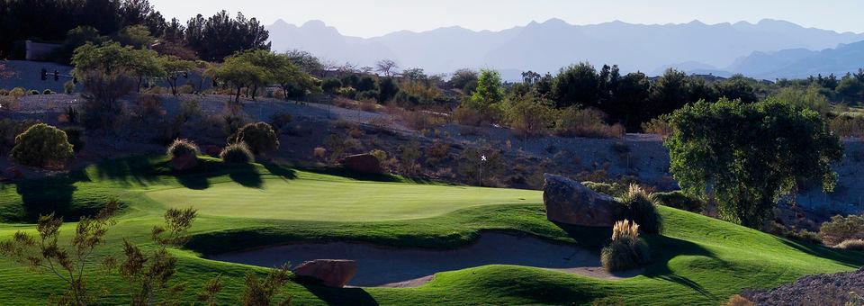 Angel Park Golf Club - Palm Course - photo 4
