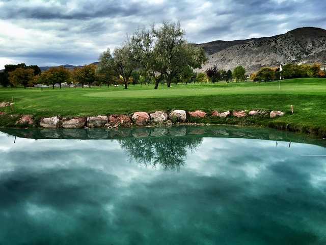 Cove View Golf Course - photo 4