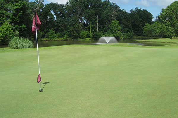 Hickory Ridge - photo 4