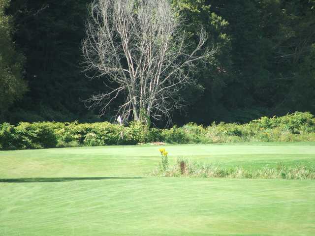 White River Golf Club - photo 2