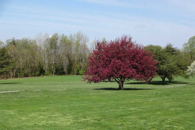 Cedar Rapids Country Club - photo 2