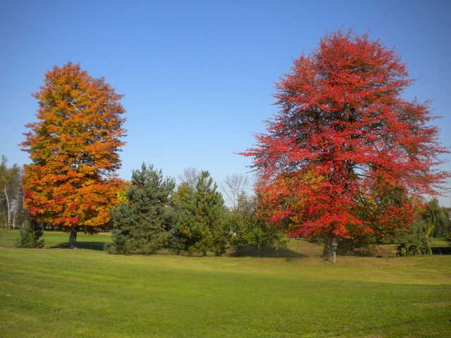Willow Springs Golf and Country Club