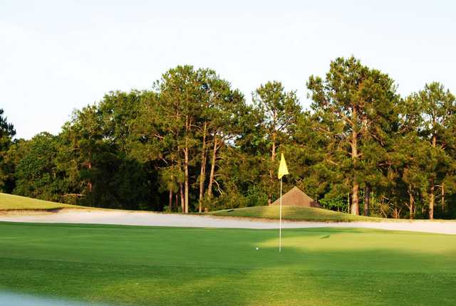 Golf Club of South Georgia - photo 6