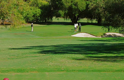 Mount Lawley Golf Club - photo 6