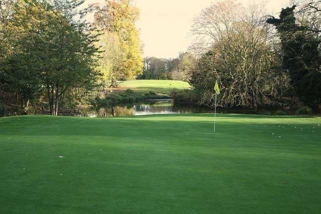Manor of Groves Golf Hotel & Country Club - photo 3