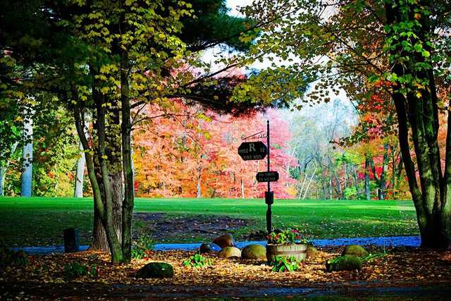 The Ridges Golf Club - photo 4