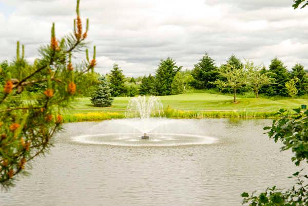 Willows Run - Heron Links Executive 9 - photo 4
