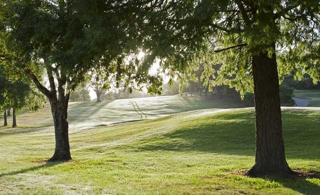 Pacific Golf Club - photo 3