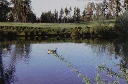 Madrona Links Golf Course - photo 3