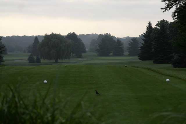 Eldorado Golf Course - photo 6