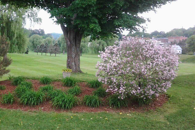 Bradford Golf Club - photo 2