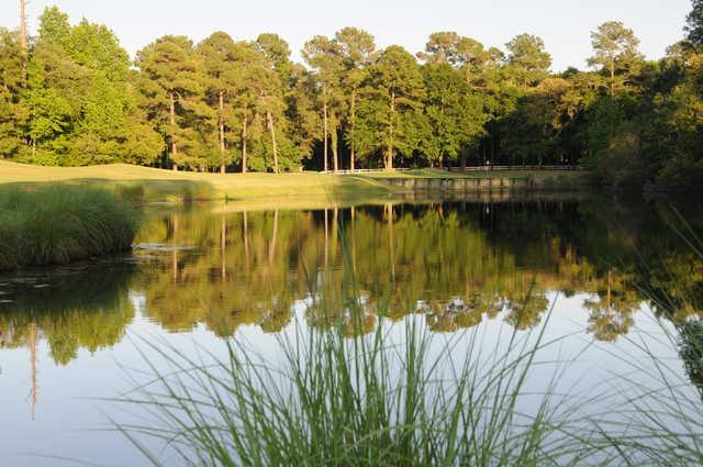 Palmetto Hall Plantation Club - Robert Cupp Course - photo 4