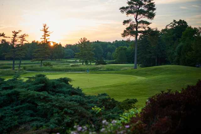 Century Pines Golf Club - photo 3