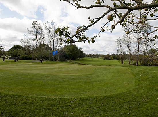 Beaverstown - photo 4