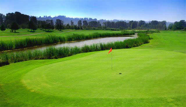 Sumner Meadows Golf Links - photo 5