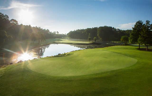 Disney's Palm Golf Course - photo 3