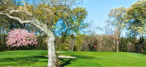Highland Country Club - photo 3