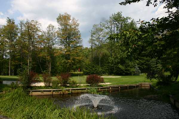 Roscoe Mountain Club - photo 6