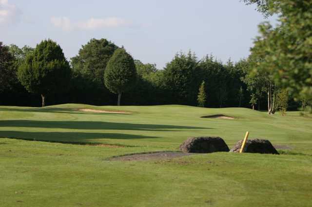 Forrest Little Golf Club - photo 3