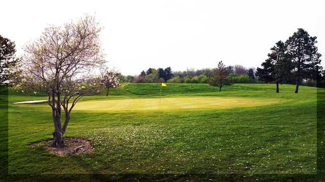 Ironwood