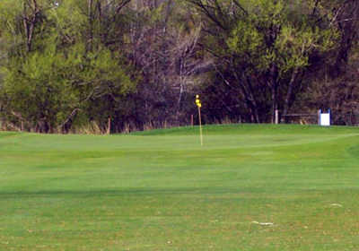 Link N Greens Golf Course - photo 2