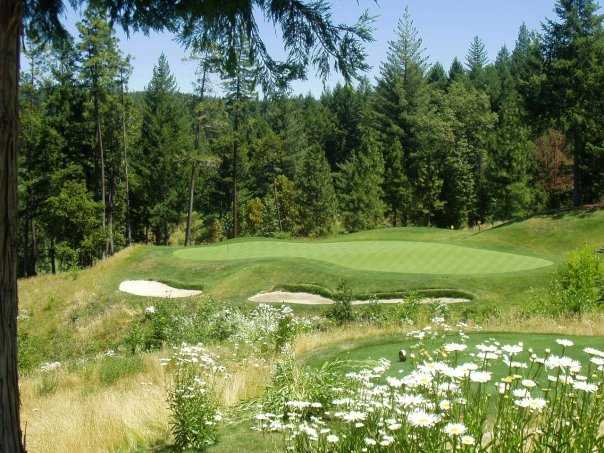 Apple Mountain Golf Resort - photo 5