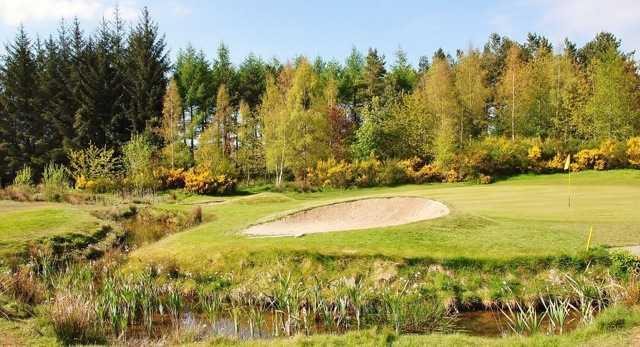 Melrose Golf Club - photo 3