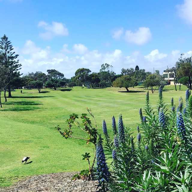 Glanville Golf Course - photo 2