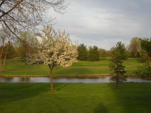 Raccoon Hill