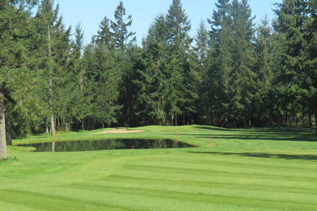 Lipoma Firs Golf Course - photo 6