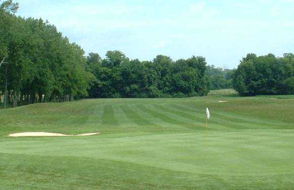 Greentree - photo 3