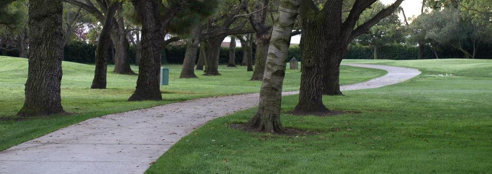 Sunnyvale Golf Course - photo 6