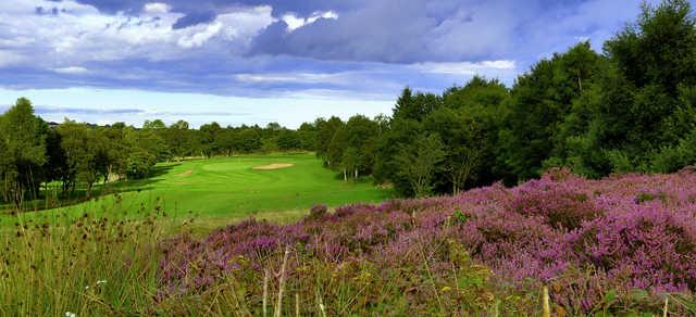 South Moor Golf Club