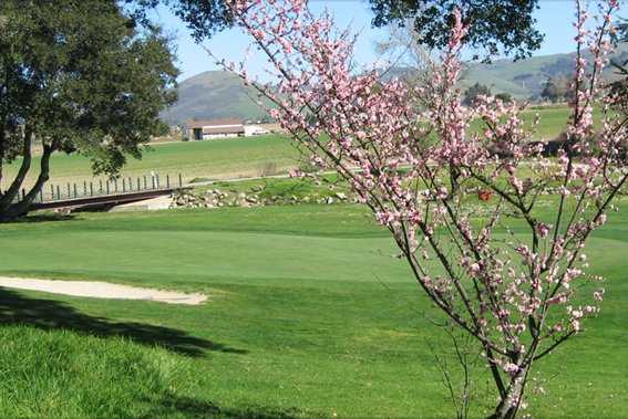 The Club at Crazy Horse Ranch - photo 3